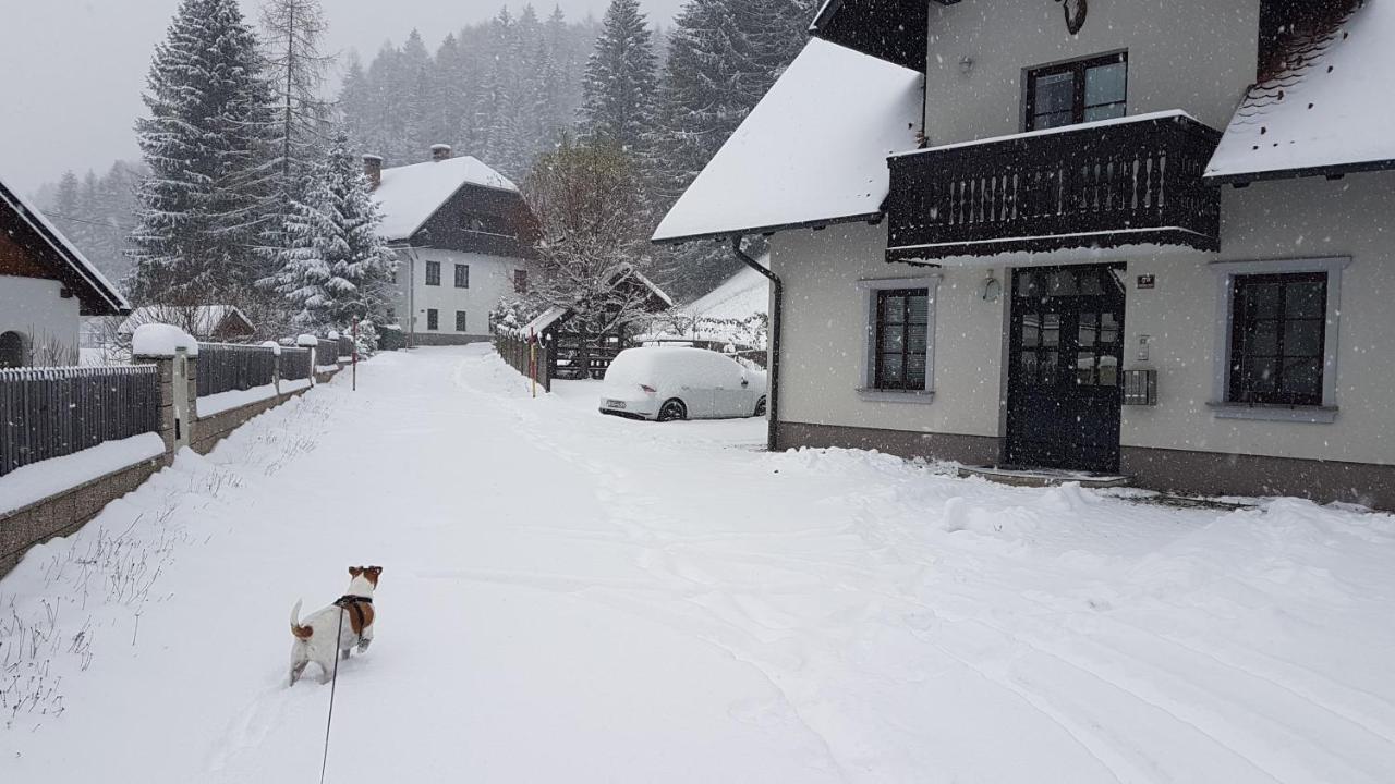 Apartman Irvin Kranjska Gora Esterno foto