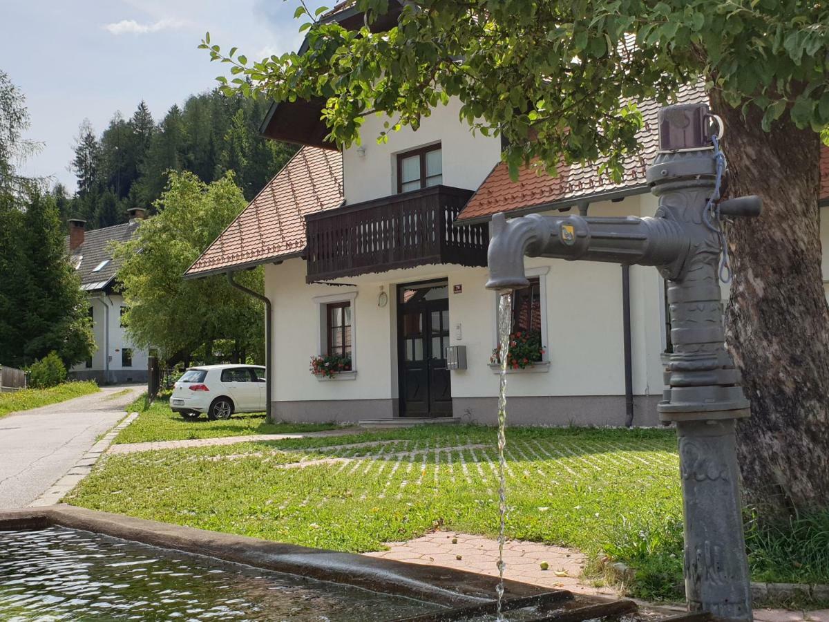 Apartman Irvin Kranjska Gora Esterno foto